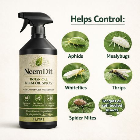 NeemDit Ready To Use Neem Oil Plant Spray 1L - Powerful Natural Care