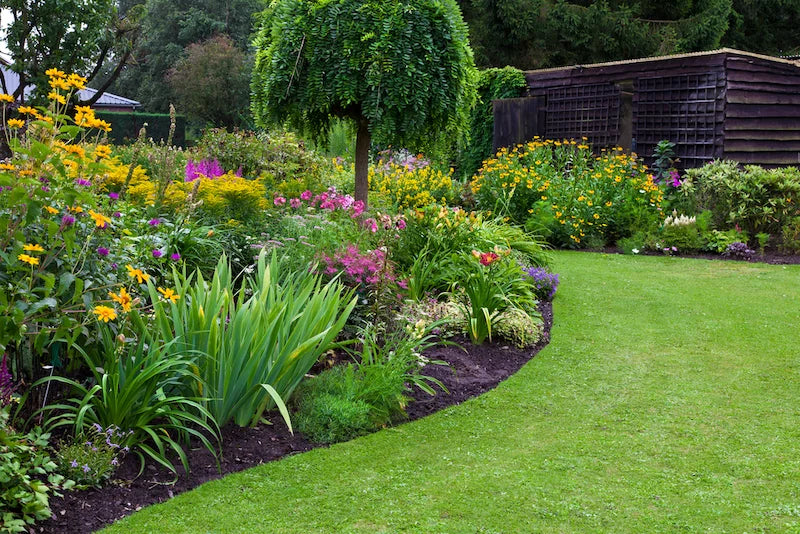 💐Garden & Landscaping