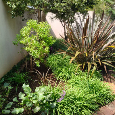 KUBU Gardens & Landscaping work sample