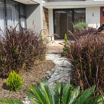 KUBU Gardens & Landscaping work sample
