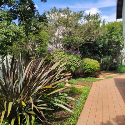 KUBU Gardens & Landscaping work sample