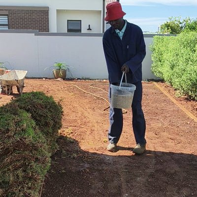 KUBU Gardens & Landscaping work sample
