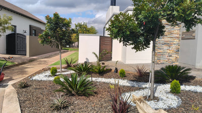 KUBU Gardens & Landscaping work sample