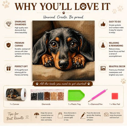Kabukis Diamond Dot Painting Kit Soulful Dachshund Portrait 40x40cm - Cute